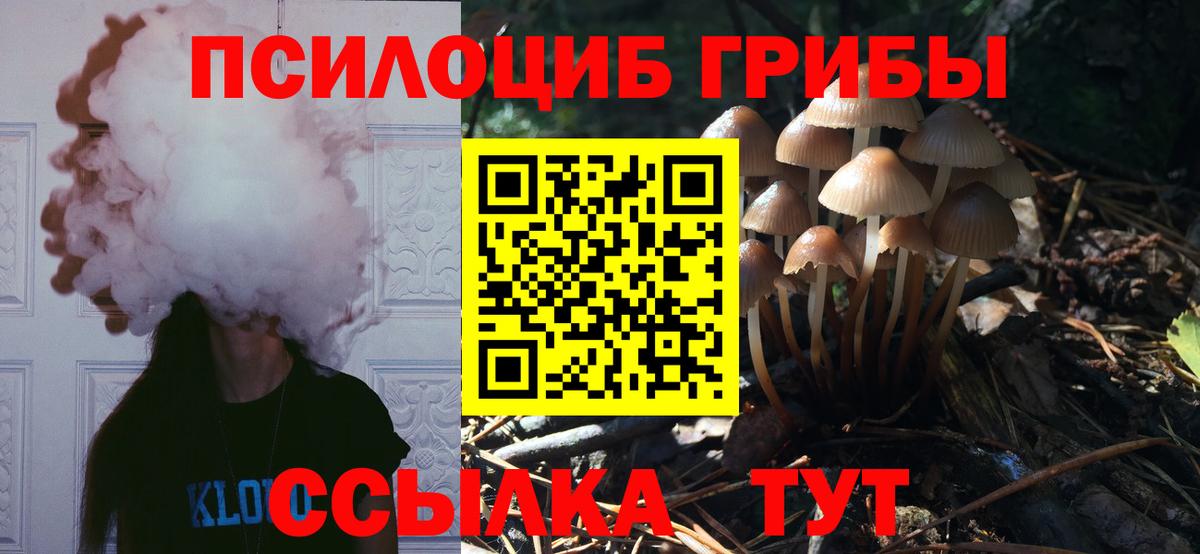 Псилоцибиновые грибы Magic Shrooms Алатырь