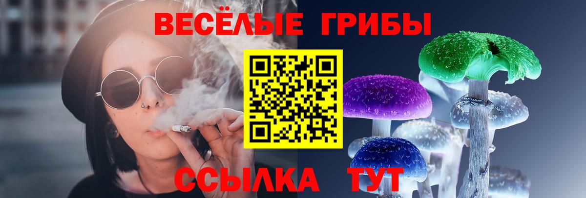 Алатырь  Галлюциногенные грибы мухоморы  Вход с VPN 